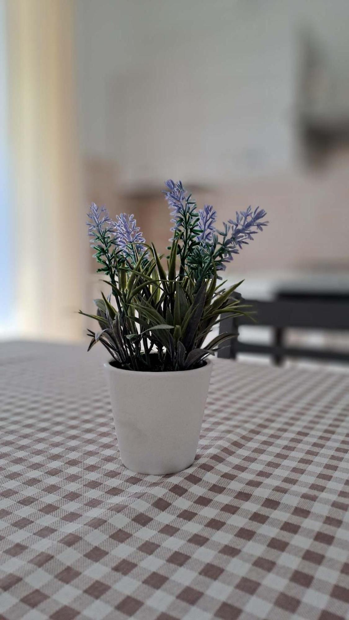 La Tappa Del Vignaiolo Home Mamoiada Esterno foto